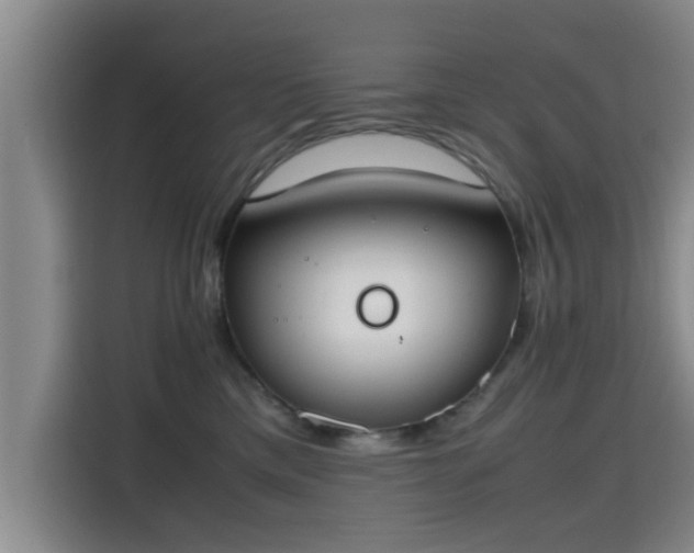 X0000115660425200911191009