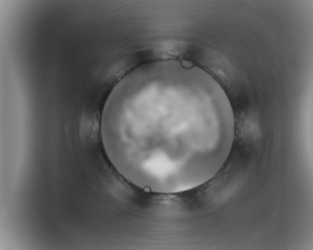 X0000115660427200911191009