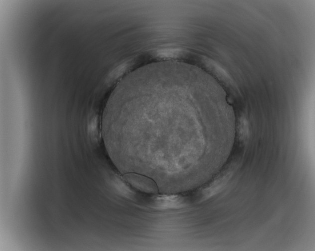 X0000115660428200911191009
