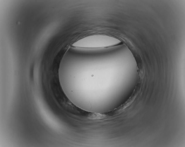 X0000115660429200911191009