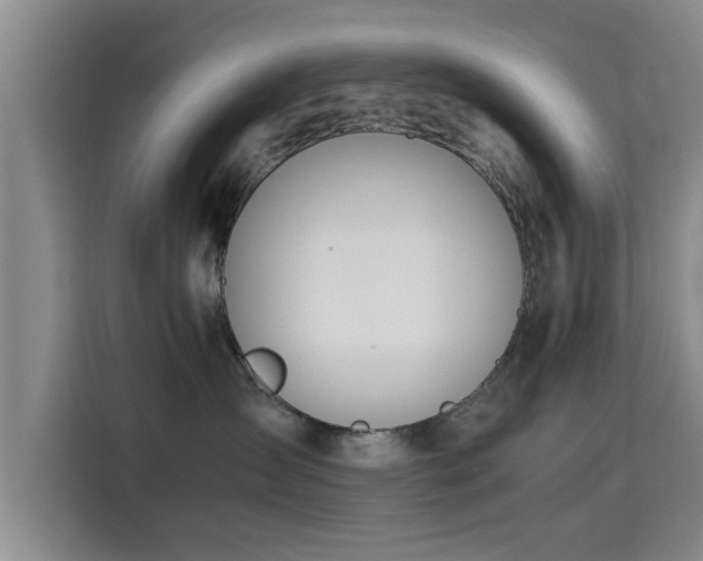 X0000115660431200911191009