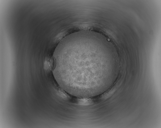 X0000115660432200911191009