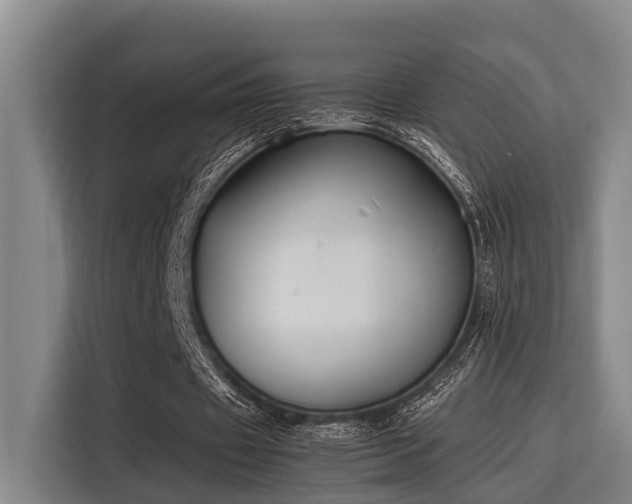 X0000115660433200911191008