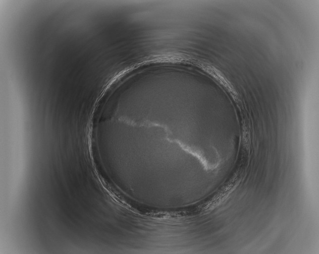 X0000115660434200911191008