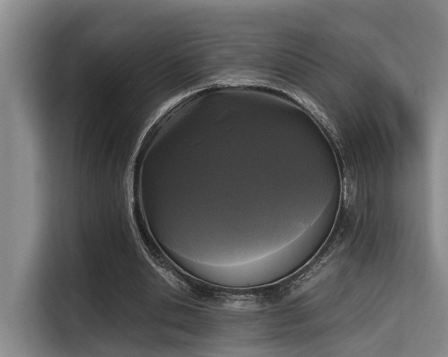 X0000115660438200911191008