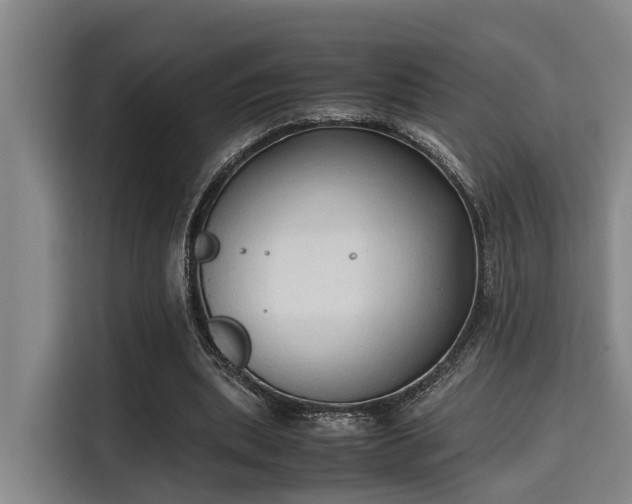 X0000115660439200911191008