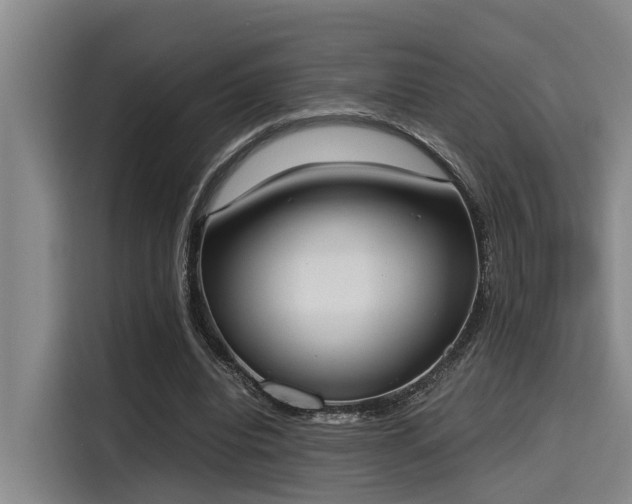 X0000115660440200911191008