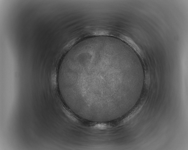 X0000115660441200911191008