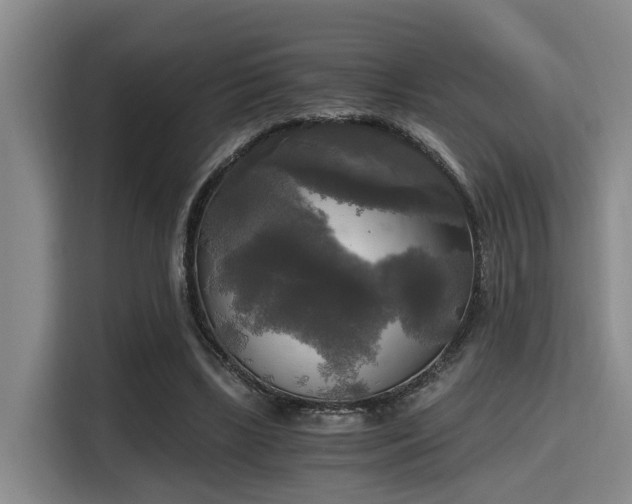 X0000115660443200911191008