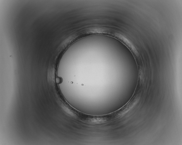 X0000115660445200911191008