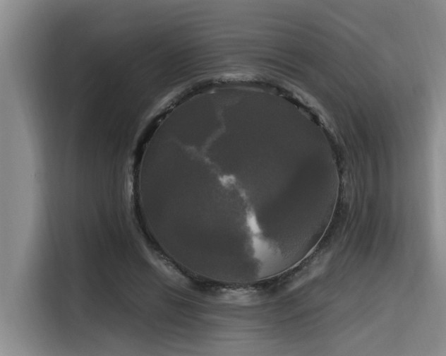 X0000115660446200911191008