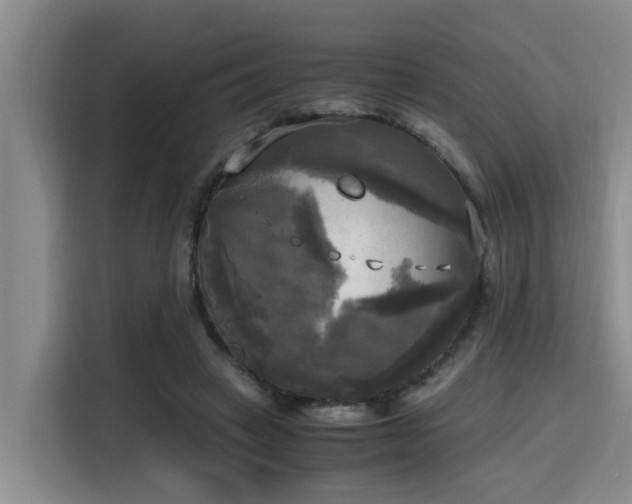 X0000115660449200911191008