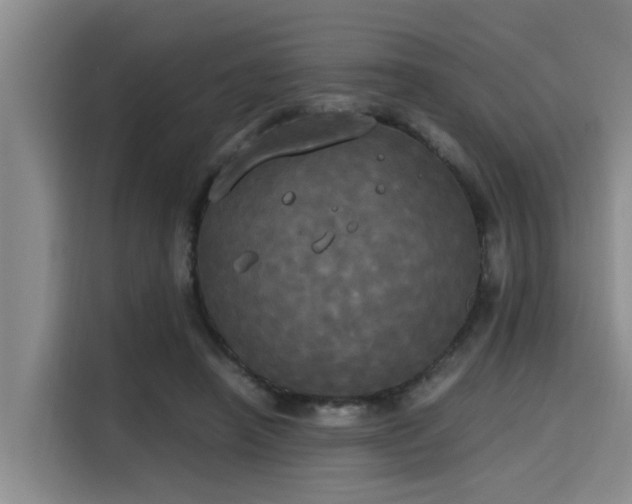X0000115660450200911191008