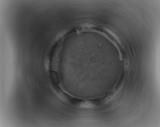 X0000115660451200911191008