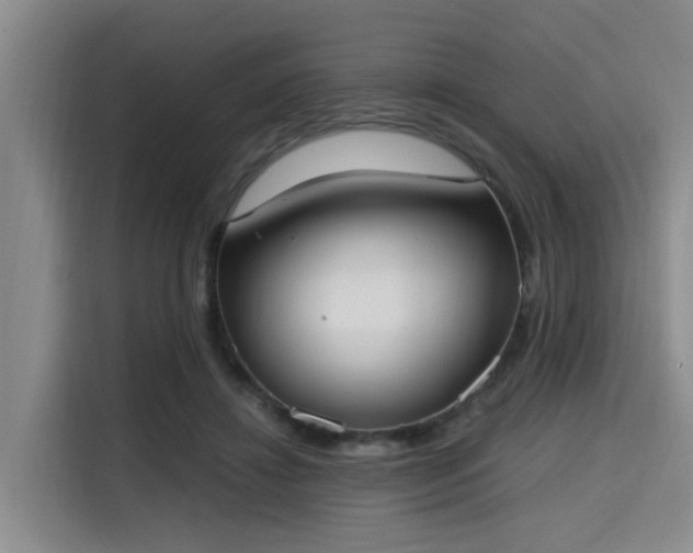 X0000115660452200911191008