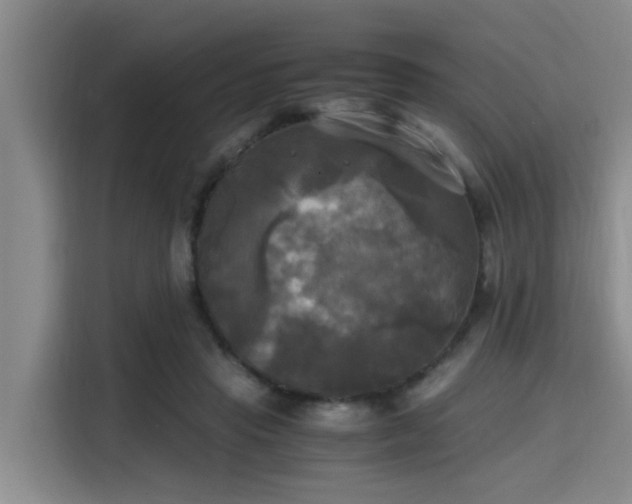 X0000115660453200911191008