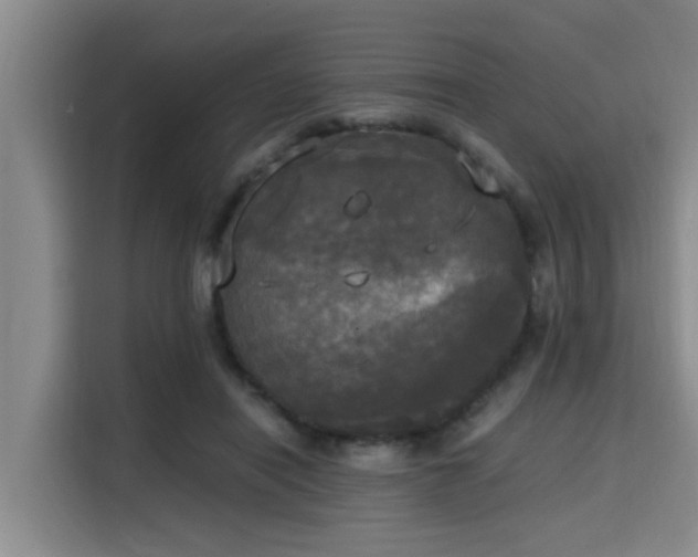 X0000115660454200911191008