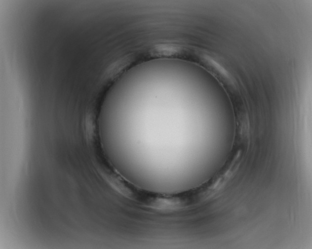 X0000115660455200911191008