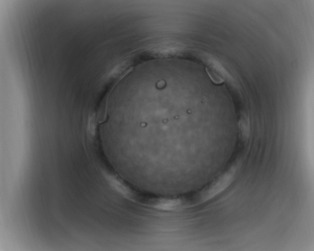 X0000115660458200911191008