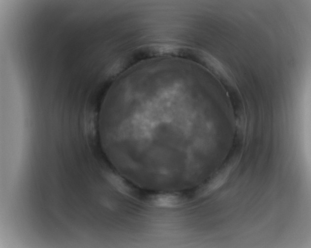 X0000115660462200911191009