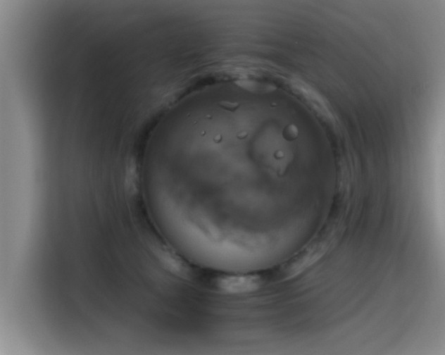 X0000115660465200911191009