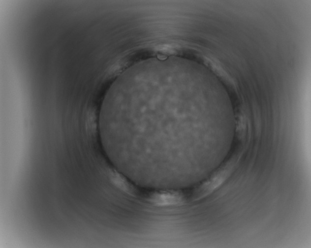 X0000115660466200911191009