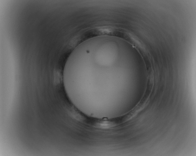 X0000115660467200911191009