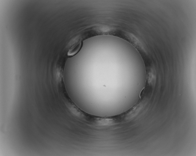 X0000115660476200911191009
