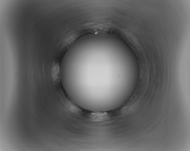 X0000115660480200911191009