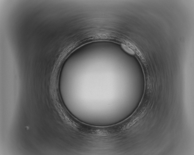 X0000115660481200911191008