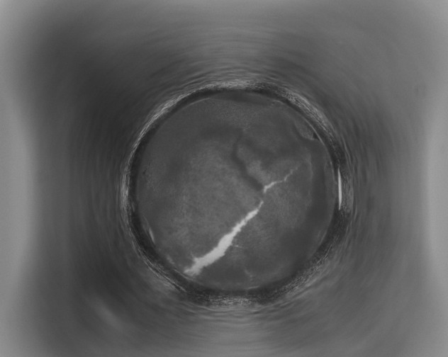 X0000115660483200911191008