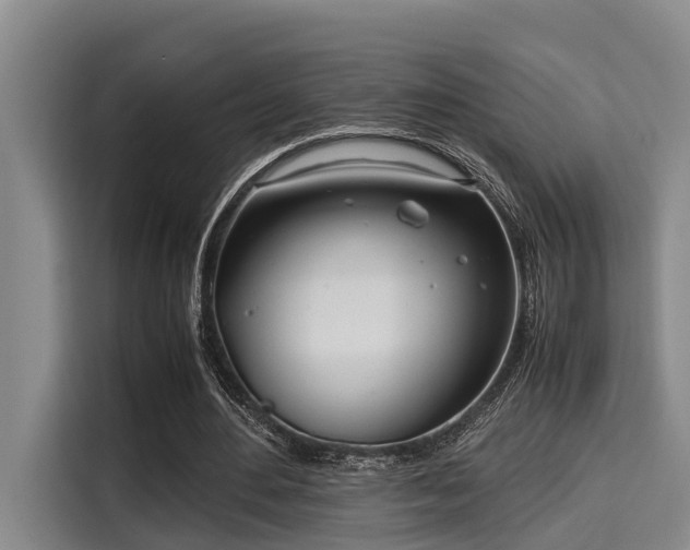 X0000115660484200911191008