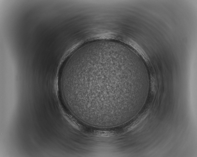 X0000115660486200911191008