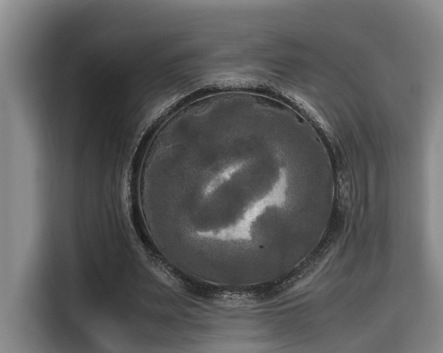X0000115660487200911191008