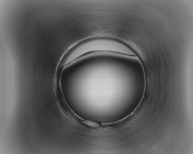 X0000115660488200911191008