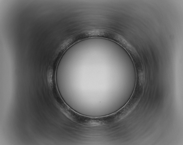 X0000115660490200911191008