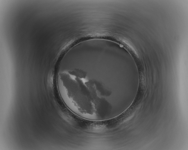 X0000115660491200911191008