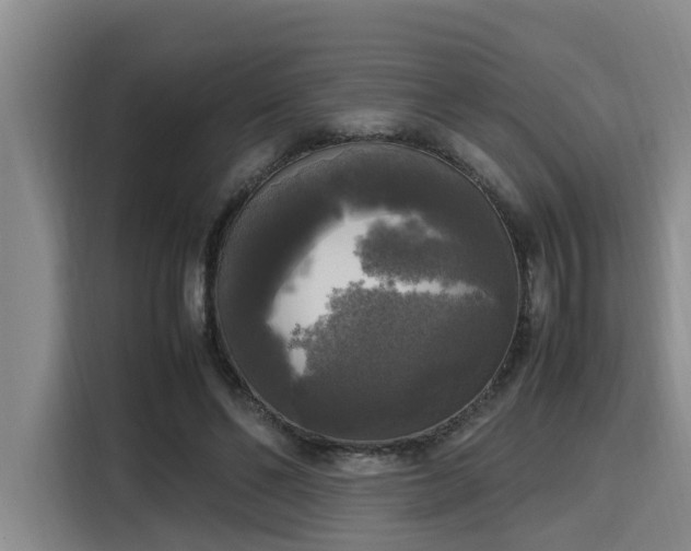 X0000115660494200911191008
