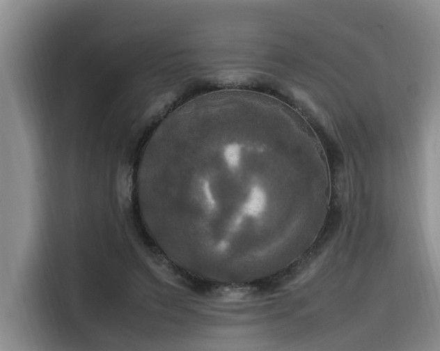 X0000115660495200911191008
