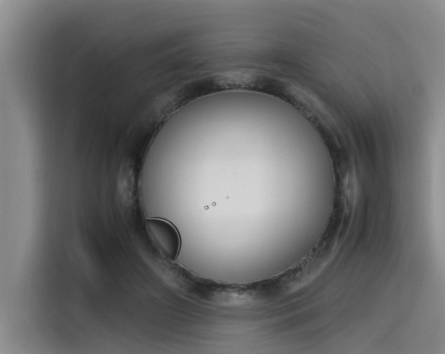 X0000115660498200911191008