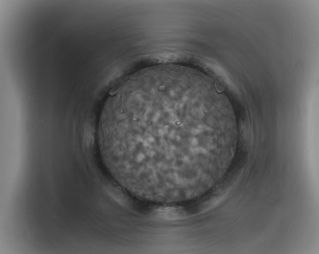X0000115660499200911191008
