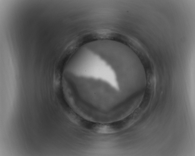 X0000115660507200911191008