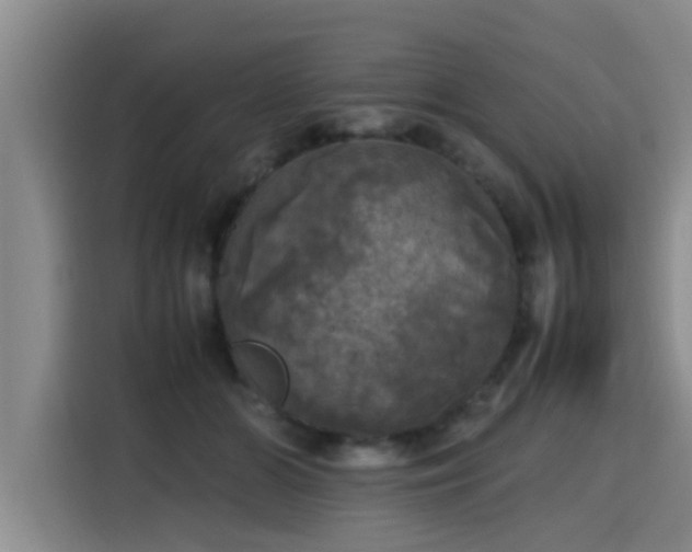 X0000115660510200911191008