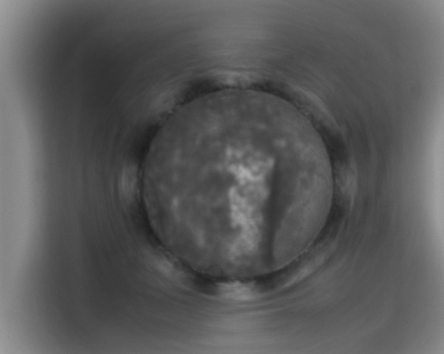 X0000115660511200911191008