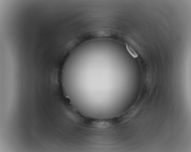 X0000115660512200911191008