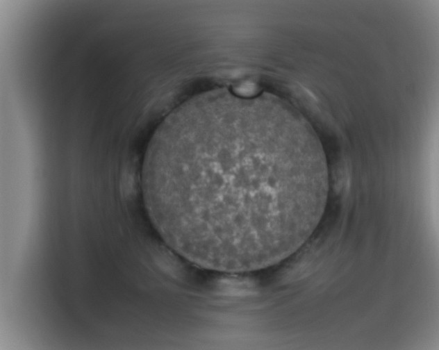 X0000115660515200911191008