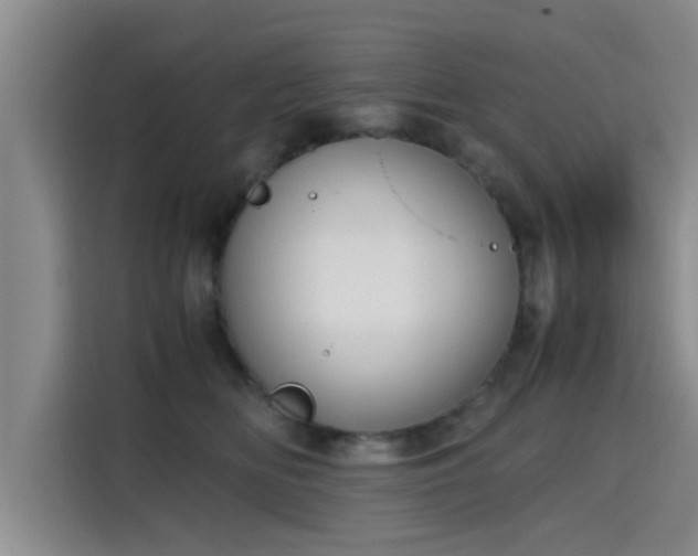X0000115660518200911191008