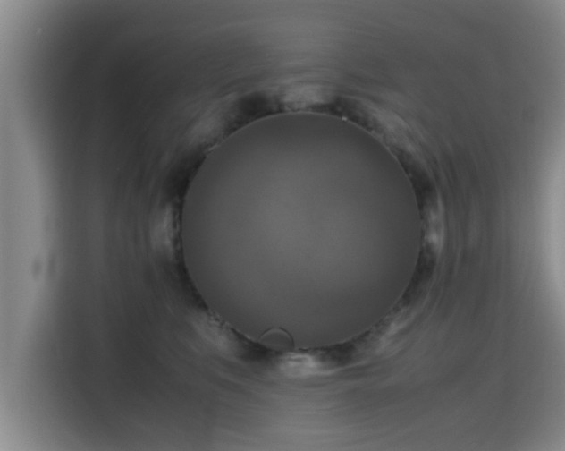X0000115660519200911191008