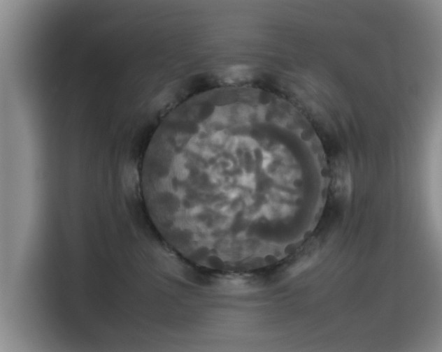X0000115660523200911191008