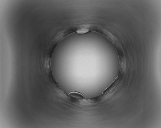X0000115660525200911191008